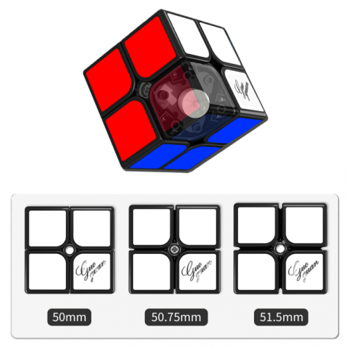 GuoGuan Xinghen 2x2 TSM Black (Size Adjustable) Rubik Kocka
